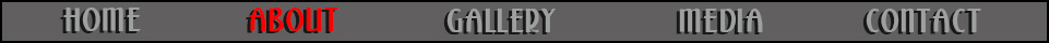 Navigation Bar