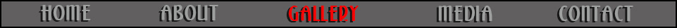 Navigation Bar