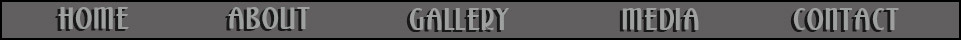 Navigation Bar