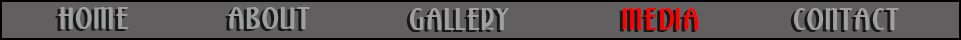 Navigation Bar